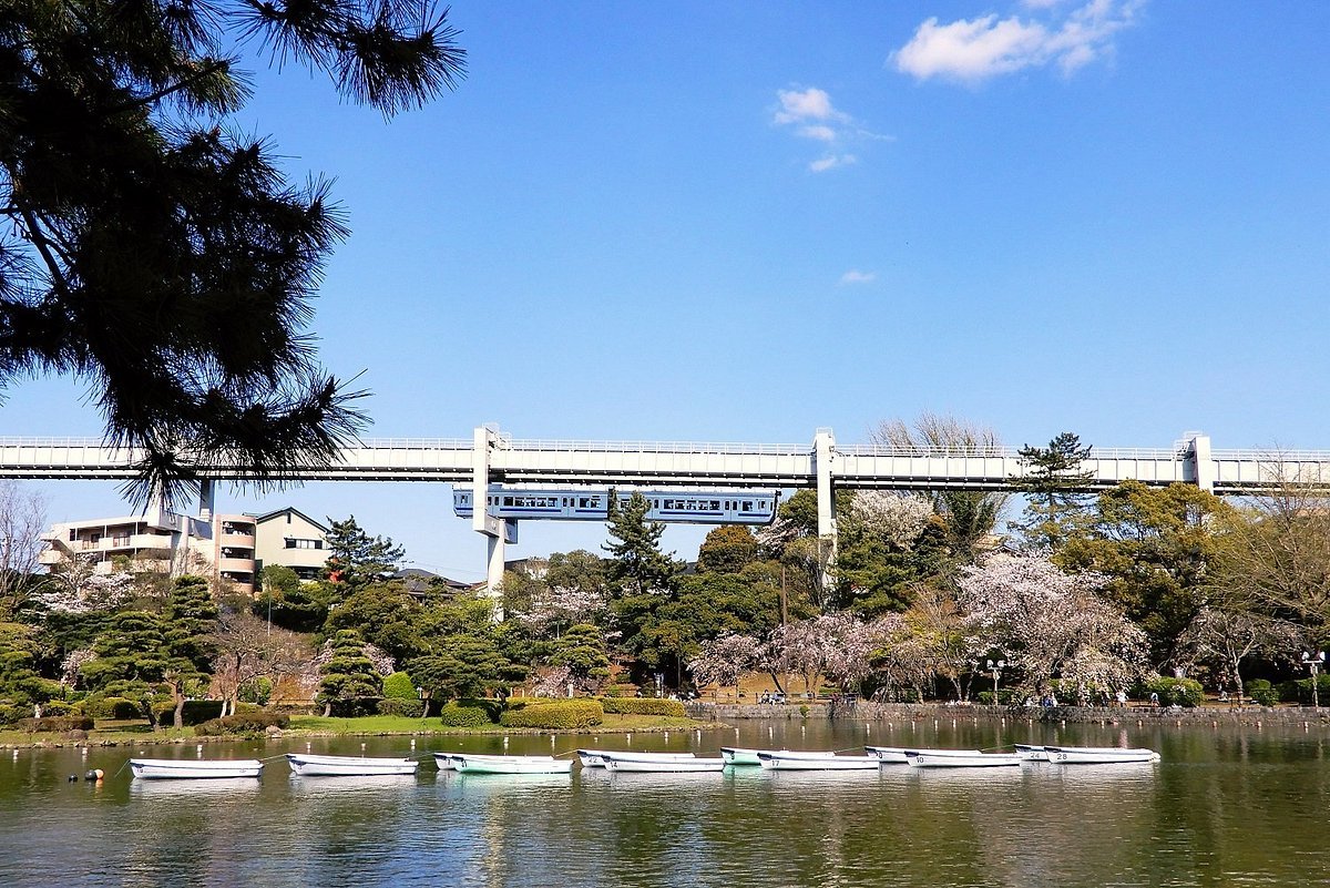 🌸 지바시 도시녹화 식물원 이미지 5